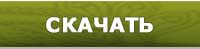 Скачать видеокурс